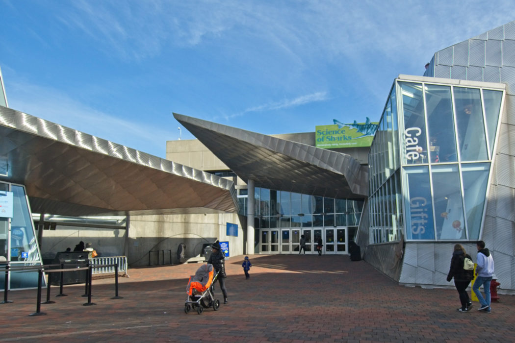 New England Aquarium Main Entrance Design Study BIA.studio